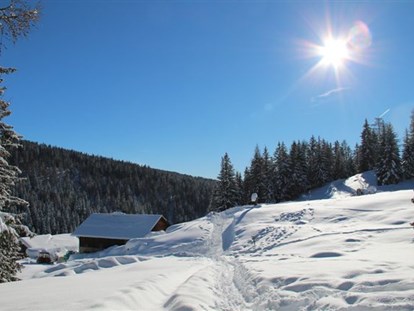 Hotels an der Piste - Moos/Pass - Winterwandern - Wohlfühlhotel Falzeben
