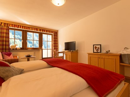 Hotels an der Piste - Sonnenterrasse - Gsies - Berghotel Johanneshof