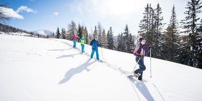 Hotels an der Piste - geführte Skitouren - Schneeschuhwandern - Ortners Eschenhof - Alpine Slowness