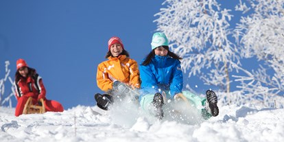 Hotels an der Piste - Skiservice: Skireparatur - Deutschland - Rodeln am Fichtelberg  - AHORN Hotel Am Fichtelberg