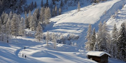 Hotels an der Piste - Graubünden - Langlauf im Seitental Dischma - Destination Davos Klosters