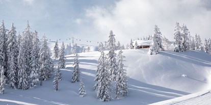 Hotels an der Piste - Skiservice: Skireparatur - Fieberbrunn - Winter im Skicircus Saalbach Hinterglemm Leogang Fieberbrunn - Ski & Bike Hotel Wiesenegg