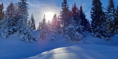 Hotels an der Piste - Skigebiet Brandnertal - VALAVIER Aktivresort