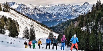 Hotels an der Piste - Parkplatz: gebührenpflichtig in Gehweite - Riezlern - Alpin Chalets Oberjoch