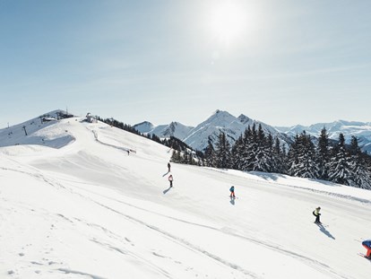 Hotels an der Piste - geführte Skitouren - Mühlbach am Hochkönig - Hotel Nesslerhof