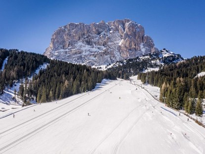 Hotels an der Piste - Skiservice: Skireparatur - Trentino-Südtirol - Hotel Plan de Gralba
