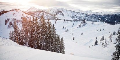 Hotels an der Piste - Verpflegung: 3/4 Pension - Skiparadies Snow Space Salzburg - Verwöhnhotel Berghof