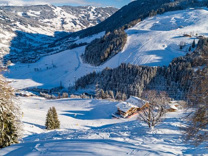 Hotels an der Piste - Hotel-Schwerpunkt: Skifahren & Ruhe - Bramberg am Wildkogel - Skiurlaub direkt an der Piste - Ferienwohnungen Perfeldhof