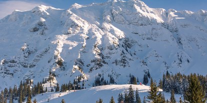 Hotels an der Piste - Hotel-Schwerpunkt: Skifahren & Romantik - Allgäu - Skigebiet Oberjoch - Panorama Hotel Oberjoch
