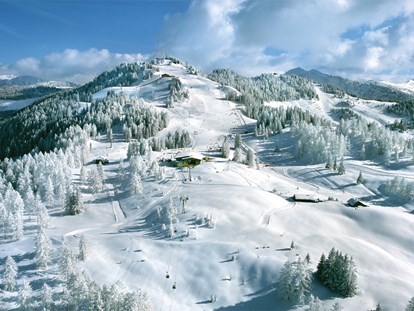 Hotels an der Piste - Ladestation Elektroauto - Gernkogel - Skigebiet - Alpina Alpendorf