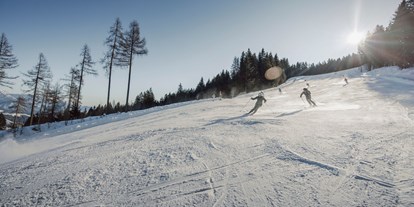 Hotels an der Piste - Preisniveau: günstig - Schladming-Dachstein - Skifahren auf den top präparierten Pisten unserer Skiberge. - Hotel Waldfrieden