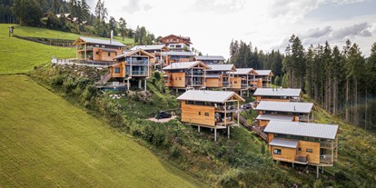 Hotels an der Piste - Hotel-Schwerpunkt: Skifahren & Ruhe - Flachau - Alpenchalets Reiteralm