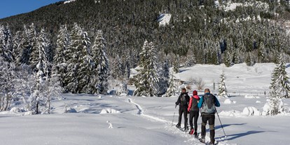 Hotels an der Piste - Hotel-Schwerpunkt: Skifahren & Wellness - Grän - BergBuddies