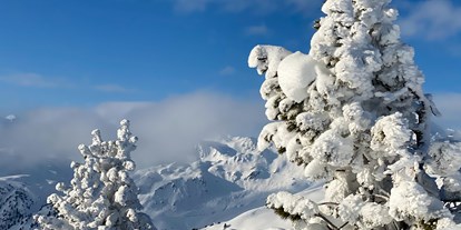 Hotels an der Piste - geführte Skitouren - Alpbach - Winterwonderland Wachterhof - Chalets & Apartments Wachterhof