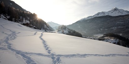 Hotels an der Piste - Ski-In Ski-Out - Moos/Pass - Alpengasthof Grüner