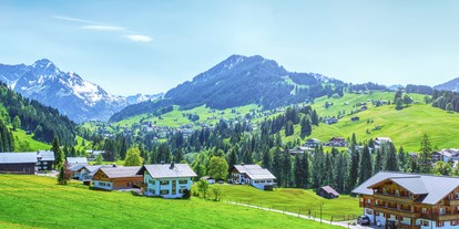 Hotels an der Piste - Skiraum: versperrbar - Oberstdorf - Blick vom Zimmerbalkon und der Terrasse Richtung Süden  - Almhof Rupp - das Genießerhotel