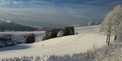 Hotels an der Piste - Hotel-Schwerpunkt: Skifahren & Familie - Baden-Württemberg - Blick Richtung Alpen mit dem Bucklift im Vordergrund  - Panorama Lodge Sonnenalm Hochschwarzwald
