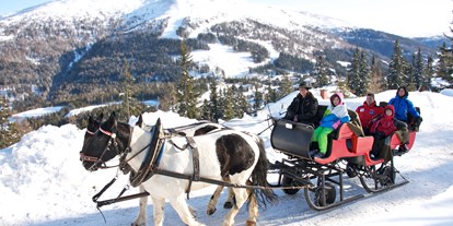 Hotels an der Piste - Kinder-/Übungshang - Skigebiet Katschberg - Pferdekutschenfahrt - Familienhotel Hinteregger