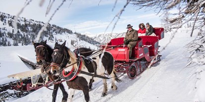 Hotels an der Piste - Skiraum: vorhanden - Skigebiet Katschberg - Pferdeschlittenfahrt Winter - Basekamp Mountain Budget Hotel