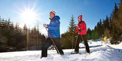 Hotels an der Piste - Skigebiet Katschberg - Schneeschuhwandern - Basekamp Mountain Budget Hotel