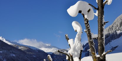 Hotels an der Piste - Skiraum: versperrbar - Skizentrum St. Jakob i. D. - Alpinhotel Jesacherhof - Gourmet & Spa