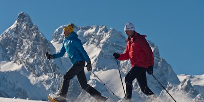 Hotels an der Piste - Skikurs direkt beim Hotel: für Erwachsene - Skigebiet Karkogel - Schneeschuwanderung - Landhotel-Gasthaus Traunstein