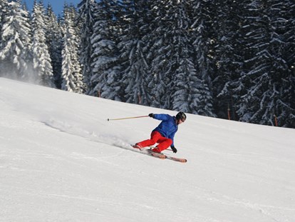 Hotels an der Piste - Skiservice: Skireparatur - Österreich - Schneesicherer Carving-Spaß - Familienhotel Berger ***superior
