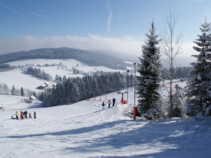 Hotels an der Piste - Skiservice: Skireparatur - Österreich - Familienschiberg St. Jakob im Walde - dirkt vorm Hotel - Familienhotel Berger ***superior