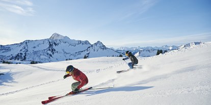 Hotels an der Piste - Hotel-Schwerpunkt: Skifahren & Familie - Faschina - Skifahren 
Hotel - Garni Alpina
Ferienwohungen und Zimmer - Hotel Garni Alpina