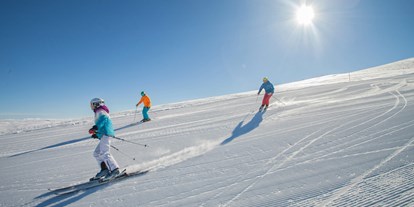 Hotels an der Piste - Parkplatz: kostenlos beim Hotel - Kanzelhöhe - Skifahren in Bad Kleinkirchheim - Trattlers Hof-Chalets