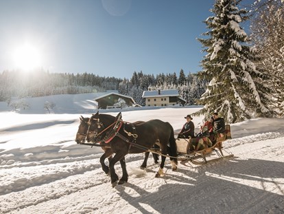 Hotels an der Piste - Hotel-Schwerpunkt: Skifahren & Familie - romantische Pferdeschlittenfahrt - Familienhotel Botenwirt ***S