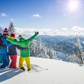 Skihotel: Winter-Freunde - Familienresort Reslwirt ****