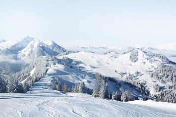 Skihotel: winter - Familienresort Reslwirt ****