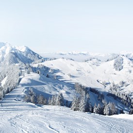 Skihotel: winter - Familienresort Reslwirt ****