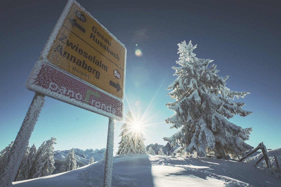 Skiregion: Panoronda - 44km lange Skigenussrunde entlang des Dachsteins - Skiregion Dachstein West