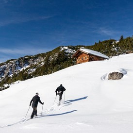 Skihotel: Schneeschuhwanderung - Pension Alwin