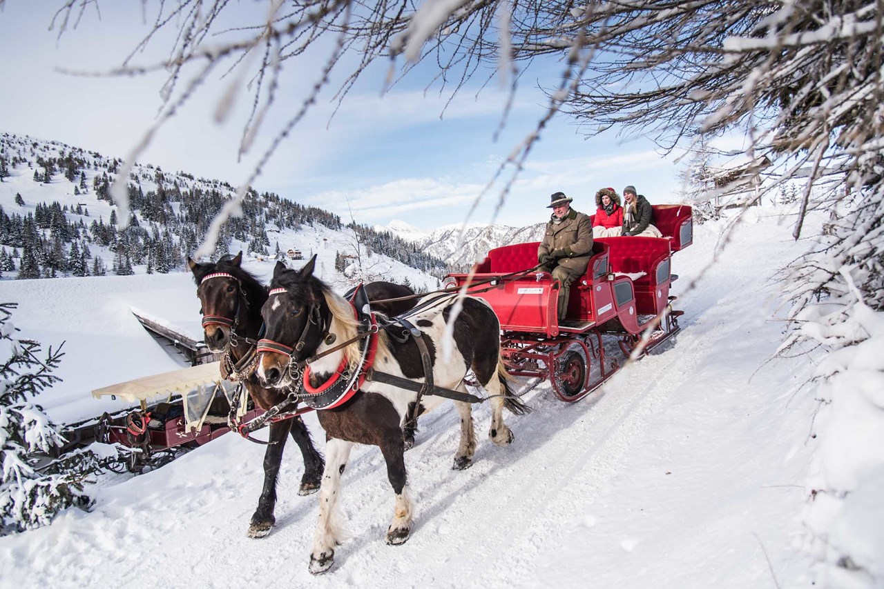 HERBERT - Boutique Apartments Ausflugsziele Pferdekutschenfahrt durch die Winternatur