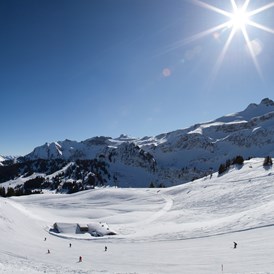 Skihotel: Skigebiet Mellau-Damüls - Hotel die Wälderin