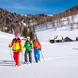 Skihotel: Schneeschuhwandern in den Nockbergen - Trattlers Hof-Chalets
