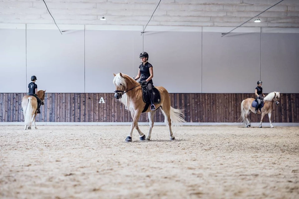 Familienresort Ellmauhof