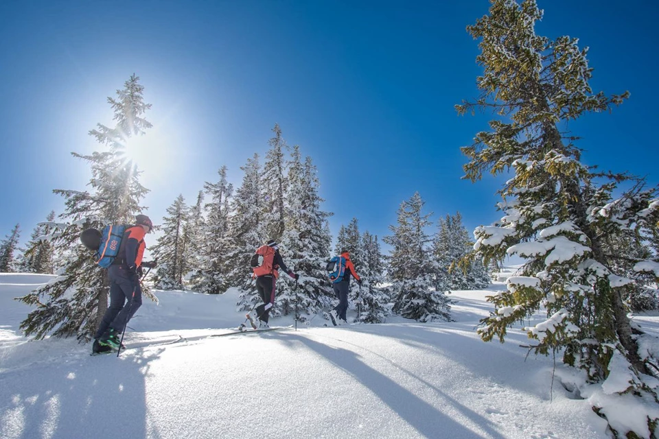 Ferienregion Hochkönig
