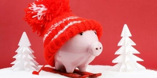 Sparschwein mit M&uuml;tze und Ski