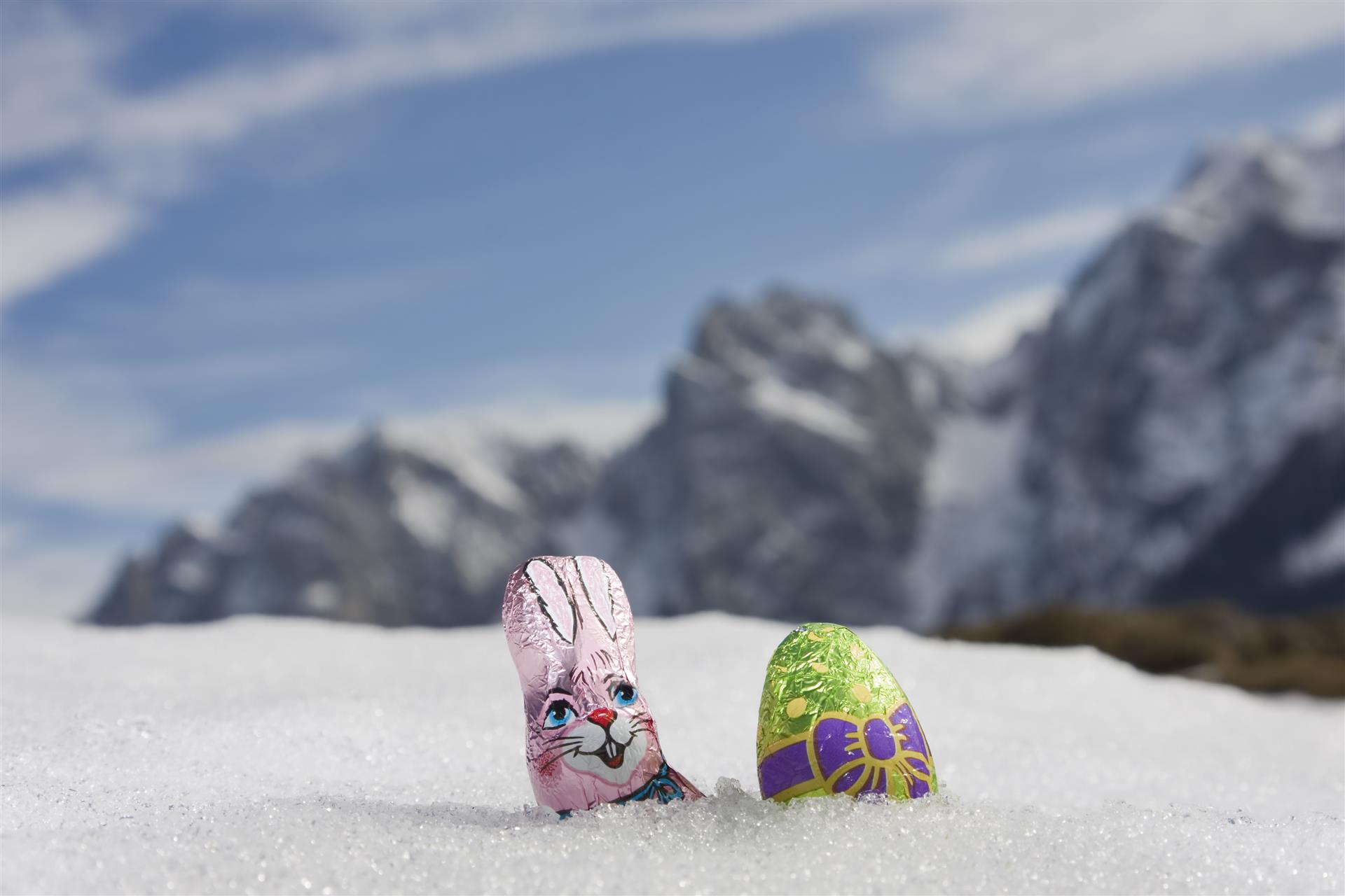 Gollinger Hase.Berg.Erlebnis 4+1 - Der Gollinger