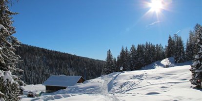Hotels an der Piste - Hotel-Schwerpunkt: Skifahren & Kulinarik - Südtirol - Winterwandern - Wohlfühlhotel Falzeben