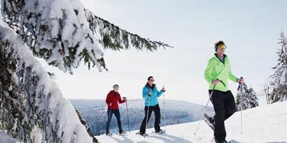 Hotels an der Piste - Skiraum: vorhanden - Thum - Schneeschuhwandern  - AHORN Hotel Am Fichtelberg