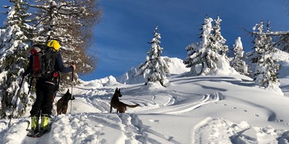 Hotels an der Piste - Hunde: hundefreundlich - Südtirol - Hotel Steinhauswirt