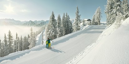 Hotels an der Piste - Preisniveau: €€€ - Ramsau (Bad Goisern am Hallstättersee) - Skiregion Schladming-Dachstein