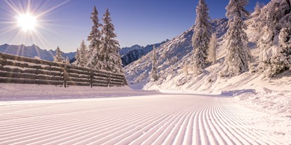 Hotels an der Piste - Après Ski im Skigebiet: Skihütten mit Après Ski - Abtenau - Skiregion Schladming-Dachstein