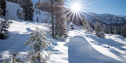 Hotels an der Piste - Skigebiet Spieljochbahn - Skigebiet Hochfügen - Hochzillertal