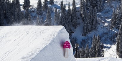 Hotels an der Piste - Après Ski im Skigebiet: Schirmbar - Vorarlberg - Snowpark Damüls  - Skigebiet Damüls-Mellau